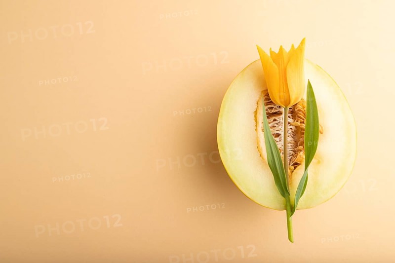 Sliced ripe yellow melon and tulip flower on orange pastel background. Top view, flat lay, copy space. harvest, women health, vegan food, concept, minimalism