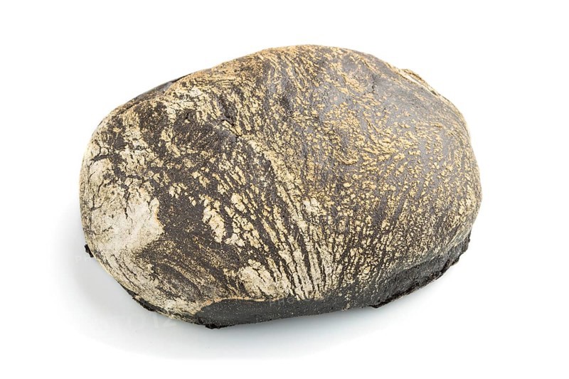 Fresh homemade black bread with flour isolated on white background. side view, close up