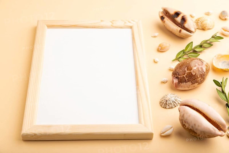 Composition with wooden frame, seashells, green boxwood. mockup on orange background. Blank, side view, still life, copy space. travel concept