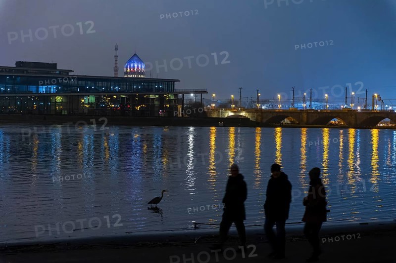 At the first flood of 2024, the peak has been passed and the water levels are slowly falling again. The Elbe meadows on the Neustäter Ufer are still flooded and the historic old town skyline is reflected impressively large A heron strides along the banks of the Elbe, Dresden, Saxony, Germany, Europe