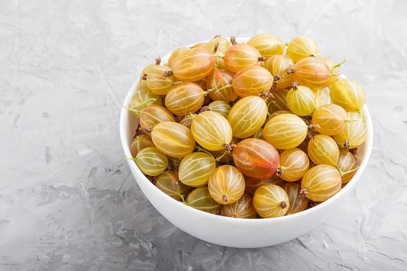 Fresh green gooseberry in white bowl on gray concrete background. side view, close up