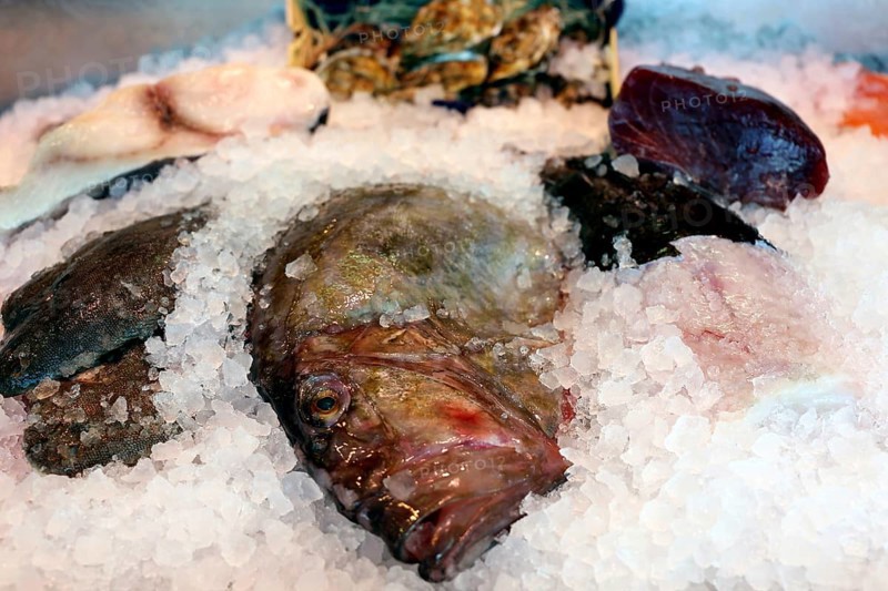 Close-up of a fish counter with fish and seafood