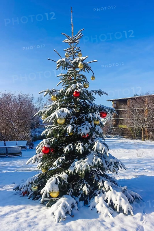 Christmas tree in the snow, Christmas tree, winter landscape, Christmas motif, Christmas, Christmas festival, Advent season, Christmas baubles, jewellery, Advent season, Christmas card motif, architecture, behind Behnisch building in Ringelbach, style-defining building from 1977, Reutlingen, Baden-Württemberg, Germany, Europe