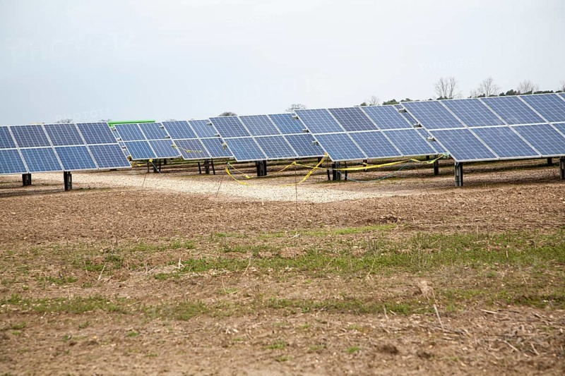 Solar array of photovoltaic panels in a large new solar park at Bucklesham, Suffolk, England, United Kingdom, Europe