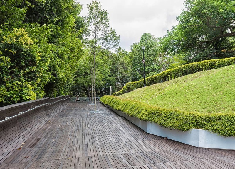 Modern wooden bridge over the jungle park. singapore