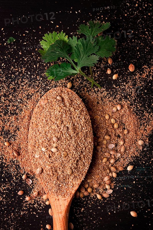 Fresh cilantro, coriander grains and powder, on a wooden table, top view, no people