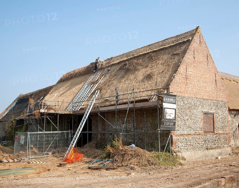 Thatcher working on new thatch barn roof at Windspurs farm, Roughton, Norfolk, England, United Kingdom, Europe