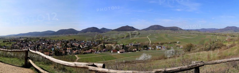 View of the Palatinate Forest from the small Kalmit (Ilbesheim near Landau)
