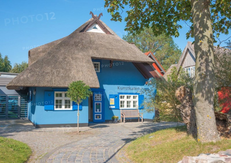 A picturesque, blue-painted thatched roof house with bench in front of the entrance, open door, horse heads on the gable, art gallery Kunstkaten under a clear, cloudless blue sky, sunny day, artist village Baltic resort Ahrenshoop, Fischland, peninsula Fischland-Darß-Zingst, Baltic Sea, Mecklenburg-Western Pomerania, Germany, Europe