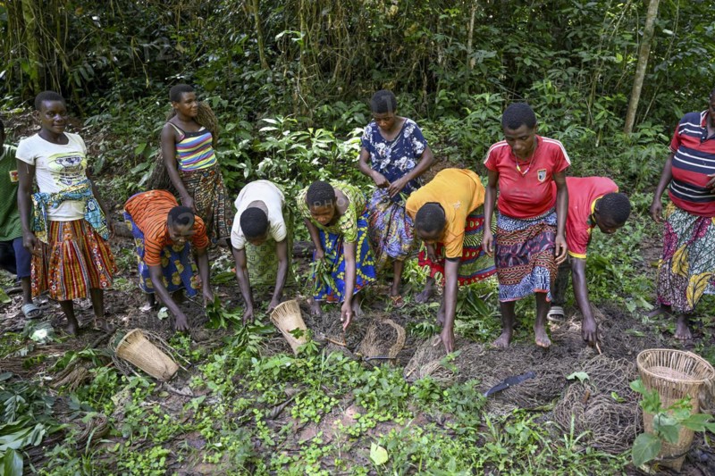 Pygmy woman of the Baka or BaAka people with their hunting nets, Dzanga-Sangha Special Dense Forest Reserve, Sangha-Mbaéré Prefecture, Central African Republic, Africa