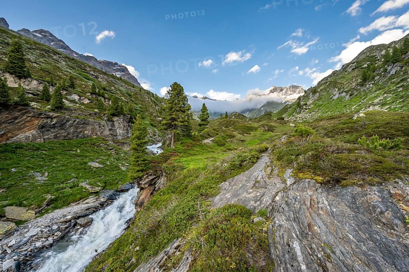Mountain landscape with mountain stream Zemmbach, behind mountain peak Kleiner Mörcher, Berliner Höhenweg, Zillertal Alps, Tyrol, Austria, Europe