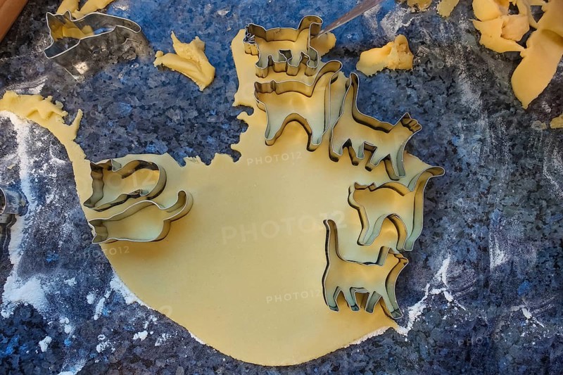 Swabian cuisine, Swabian Christmas biscuits, preparation of cookie cutters, shortbread biscuits, cat figures, cutting out raw dough with moulds, typical Swabian, baking, flour, Christmas biscuits, sweet biscuits, Gutsle, Bredle, baked goods, from the oven, traditional cuisine, food photography, studio, Germany, Europe
