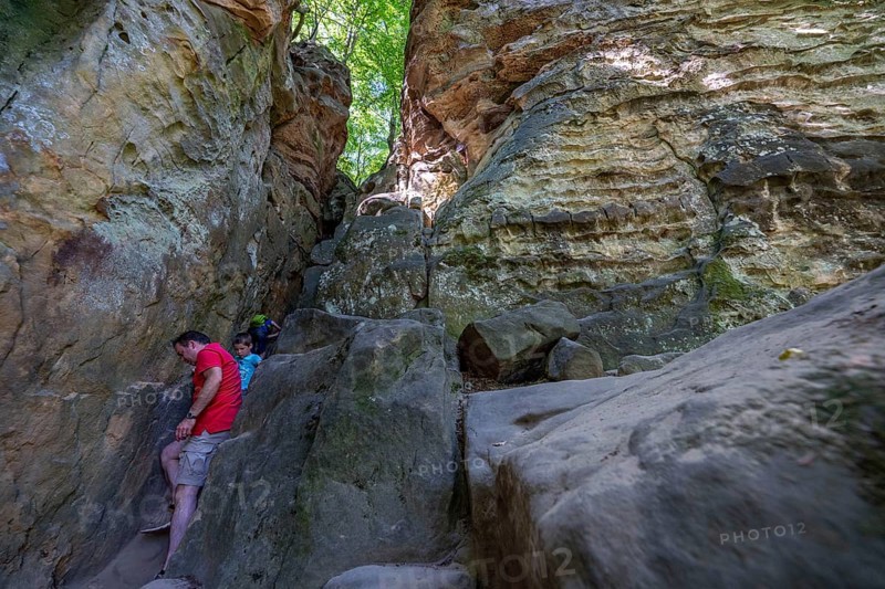 The Devil's Gorge, narrow, accessible gorge of sandstone rocks, with steep rocky gorges, near Irrel, Southern Eifel nature park Park, Rhineland-Palatinate, Germany, Europe