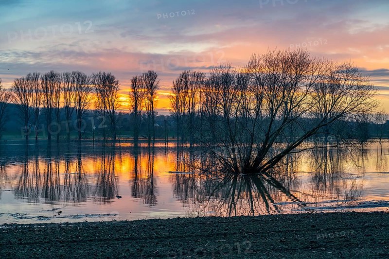 Bislicher Insel nature reserve, floodplain landscape on the Rhine, near Xanten, floods, flooded fields, meadows, North Rhine-Westphalia, Germany, Europe