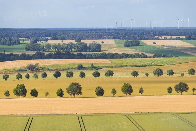 Fields near Liebschützberg ., Liebschützberg, Liebschütz, Saxony, Germany, Europe