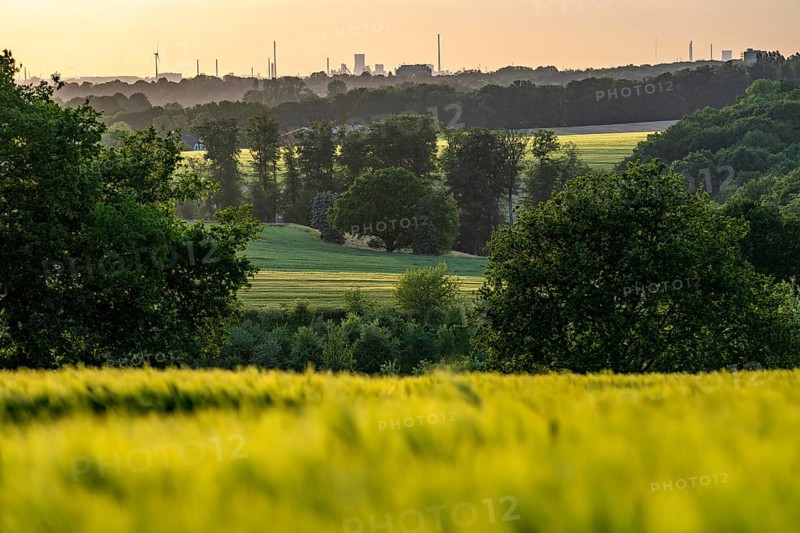 View over the Ruhr valley, to the west, from Mülheim an der Ruhr, in the direction of Duisburg-Bruckhausen, Thyssenkrupp Steel industrial backdrop, grain fields in the evening sun, North Rhine-Westphalia, Germany, Europe