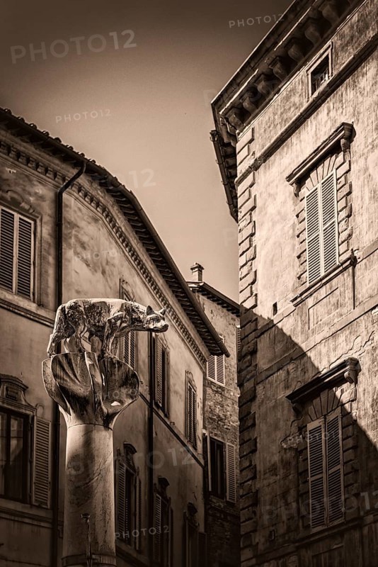 She-wolf and children, sculpture in the historic centre, heraldic animal, monument, symbol, culture, history, historical, Siena, Tuscany