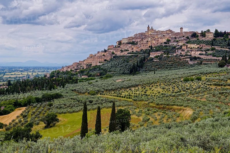 Trevi is a small Italian town in the province of Perugia in Umbria and a member of the association The Most Beautiful Places in Italy. Italy, Southern Europe