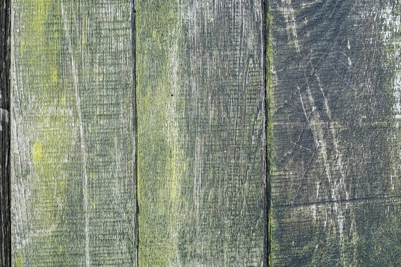 Board wall, wooden wall with verdigris, texture, background, North Rhine-Westphalia, Germany, Europe