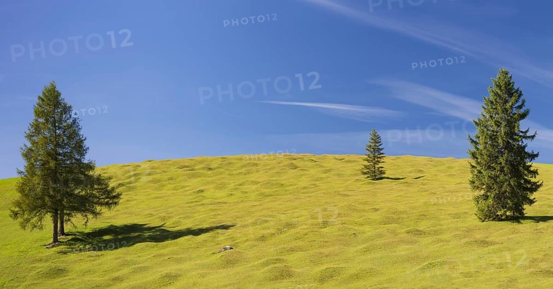 Humpback meadows between Mittenwald and Krün, Werdenfelser Land, Upper Bavaria, Bavaria, Germany, Europe