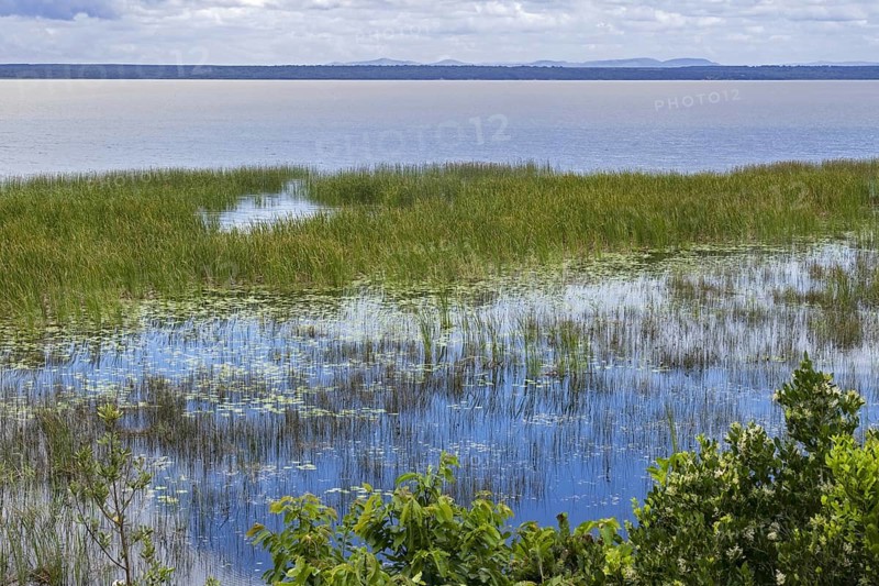 Lake St. Lucia, largest estuarine lake in Southern Africa in the iSimangaliso Wetland Park, KwaZulu-Natal, South Africa, Africa