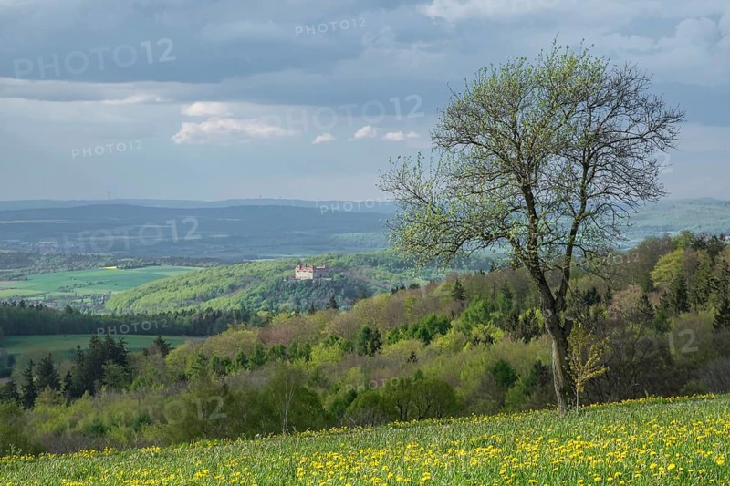 View from the Maulkuppe, mountain in the Hessian Rhön nature park Park, Bieberstein Castle in the background, Hesse, Germany, Europe