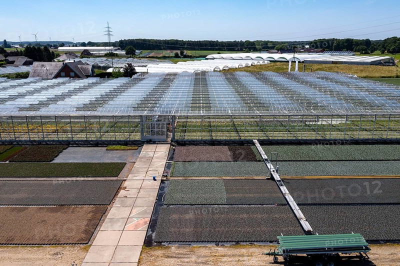 Horticultural business, irrigation with a sprinkler system, mobile on wheels in the open air, greenhouse, various types of potted plants grow here to be sold in flower shops, supermarkets, DIY stores, garden centres, North Rhine-Westphalia, Germany, Europe