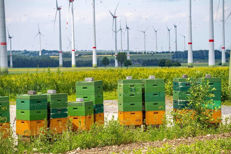 Wind farm north of Marsberg, many beehives at the foot of a wind turbine, Hochsauerlandkreis, North Rhine-Westphalia, Germany, Europe