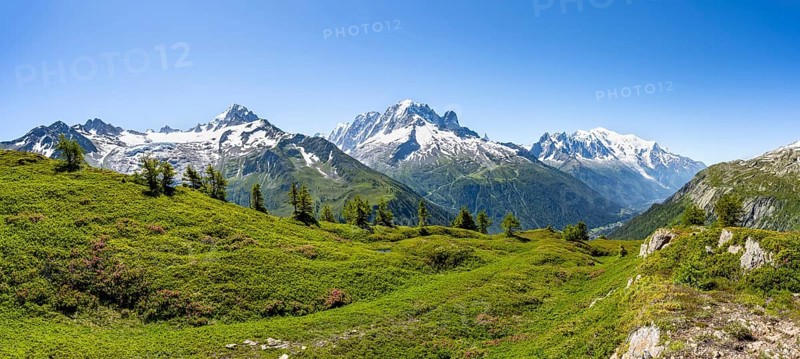 Mountain panorama with glaciated mountain peaks, Aiguille de Chardonnet with Glacier du Tour, Aiguille Verte with Aiguille du Midi and Mont Blanc, hike to Aiguillette des Posettes, Chamonix, Haute-Savoie, France, Europe