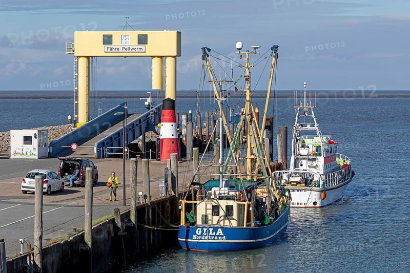 Pellworm ferry terminal, fishing boat, SAR boat, harbour, Strucklahnungshörn, Nordstrand, Nordfriesland, Schleswig-Holstein, Germany, Europe