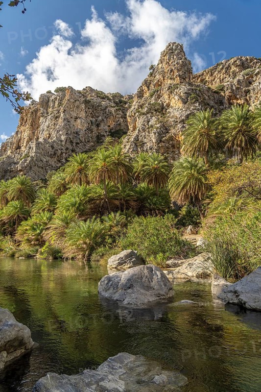 Phoenix theophrasti palms and the river Megalopotamos in the gorge of Preveli, Crete, Greece, Europe