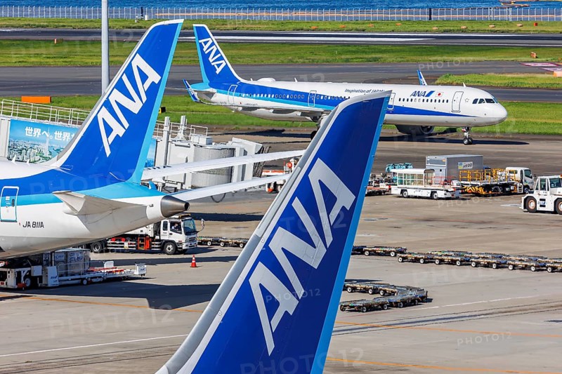 Tail units of ANA All Nippon Airways aircraft at Tokyo Haneda Airport, Japan, Asia