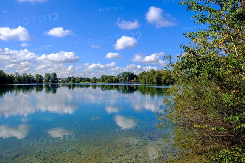 Waldschwaigsee, near Dachau, Dachauer moss, Upper Bavaria, Bavaria, Germany, Europe