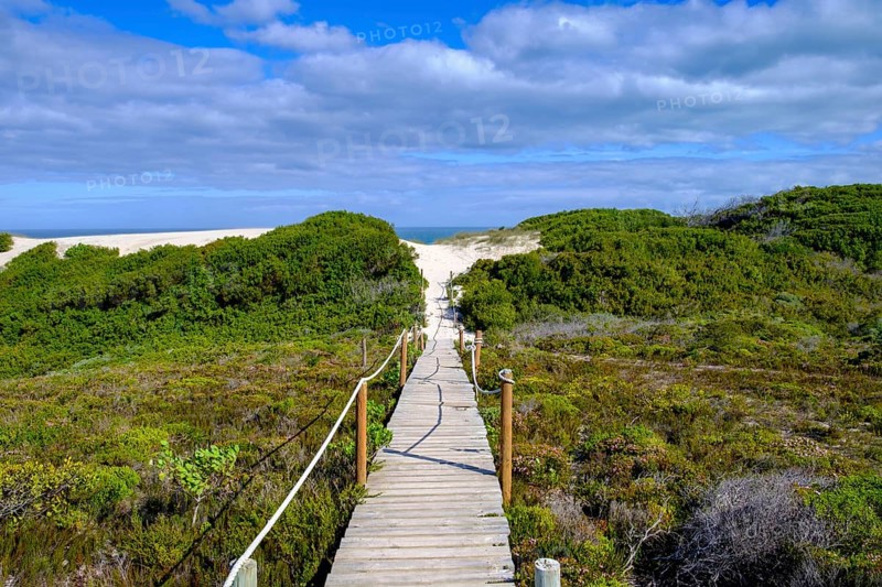 Boardwalk, sand dunes, De Hoop Nature Reserve, nature reserve near Struisbaai, Garden Route, Western Cape, South Africa, Africa