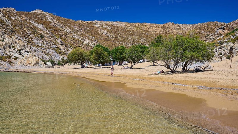 Quiet beach with clear water and golden sand, surrounded by trees and rocks under a deep blue sky, tamarisk trees, Psili Ammos beach, Patmos, Dodecanese, Greek Islands, Greece, Europe