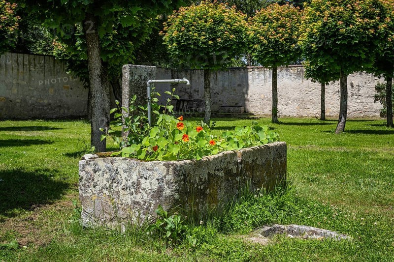 Old stone drinking fountain, Heiligkreuztal monastery, Biberach district, Upper Swabia, Baden-Württemberg, Germany, Europe