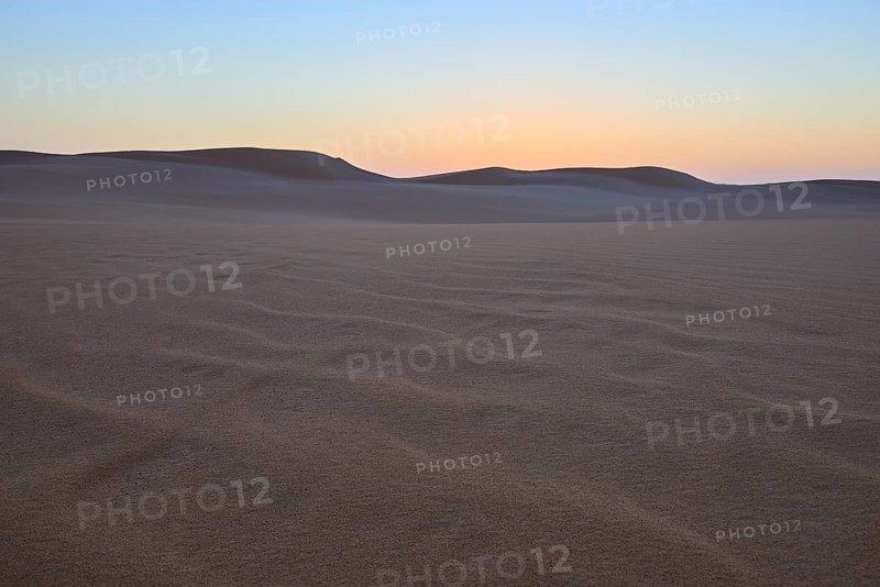 Vast desert landscape at sunset with gentle sand dunes and minimalist atmosphere, Matruh, Great Sand Sea, Libyan Desert, Sahara, Egypt, North Africa, Africa