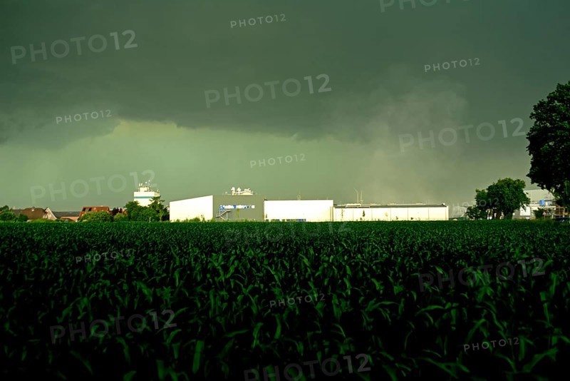 Europe, Germany, Lower Saxony, Stade district, thunderstorm over maize field with production halls and silos, Europe