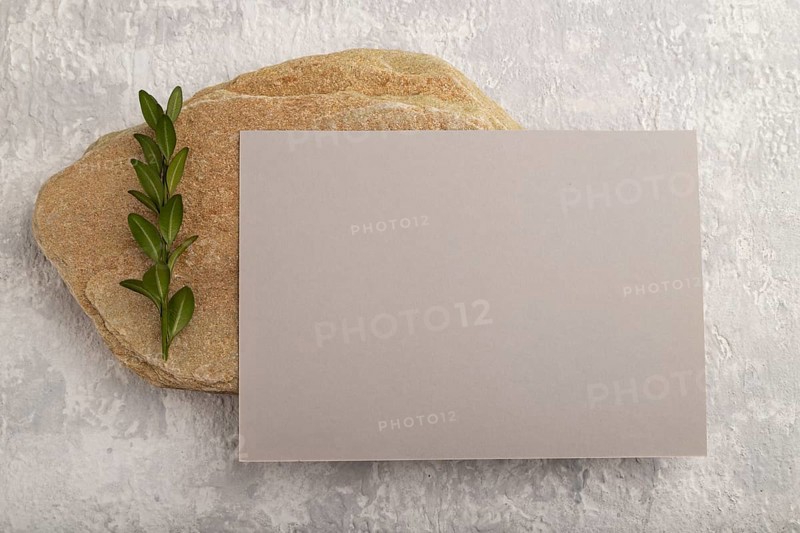 Gray paper business card, mockup with natural stone and boxwood branch on gray concrete background. Blank, flat lay, top view, still life, canvas, copy space