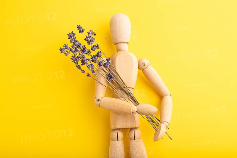 Wooden mannequin holding lavender flowers on yellow pastel background. copy space, isolated, summer, gardening concept