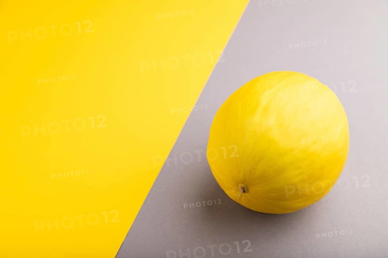 Ripe yellow melon on gray and yellow pastel background. Side view, copy space. harvest, healthy, vegan food, concept, minimalism