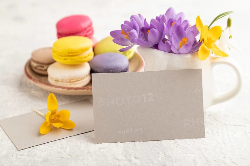 Gray paper business card mockup with spring snowdrop crocus flowers and multicolored macaroons on gray concrete background. Blank, business card, side view, copy space, still life. spring concept