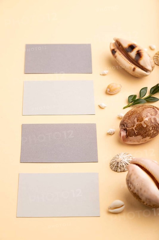 Composition of gray paper business cards, seashells, green boxwood. mockup on orange background. Blank, side view, still life, copy space. travel concept