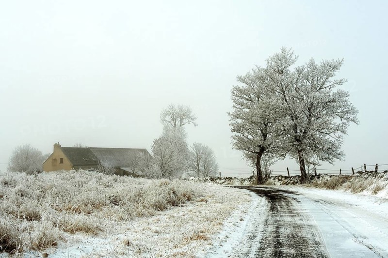 Aubrac plateau. Isolated farm in winter. Lozere department, Occitanie. France