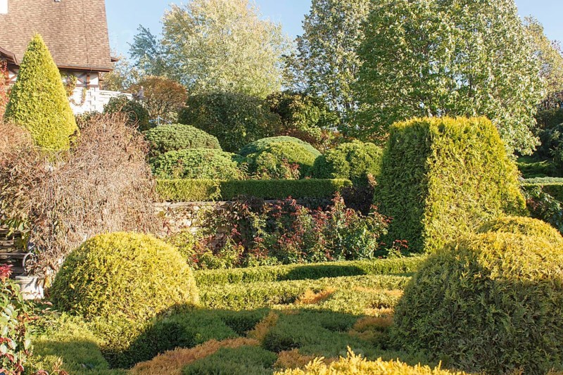 Cottage garden with topiary, hedges, trimmed bushes. Modern landscape design