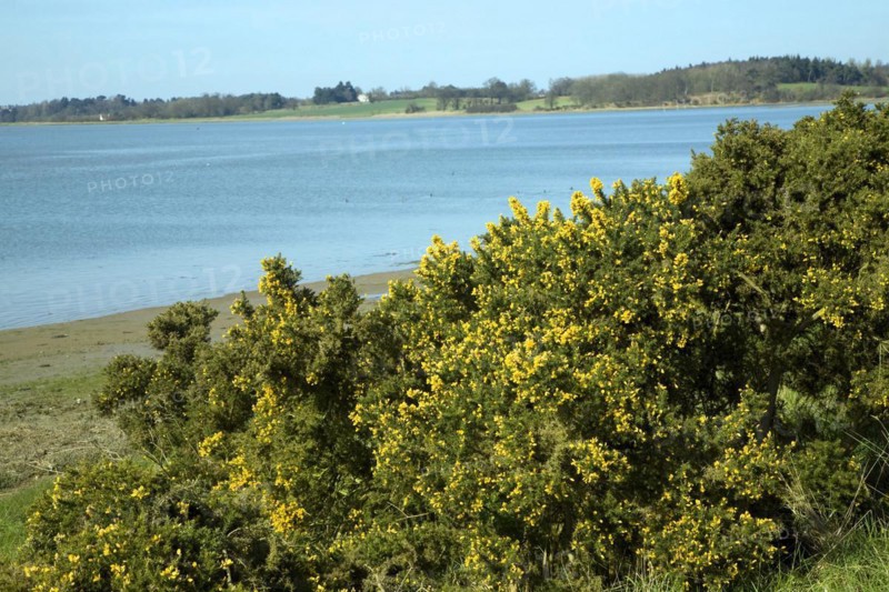 View upstream of the River Deben from Sutton, Suffolk, England, United Kingdom, Europe