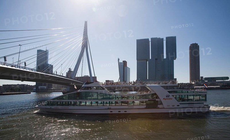 Erasmus Bridge, Erasmusbrug, spanning the River Maas designed by architect Ben van Berkel completed 1996, 800 metre span linking north and south Rotterdam, Netherlands