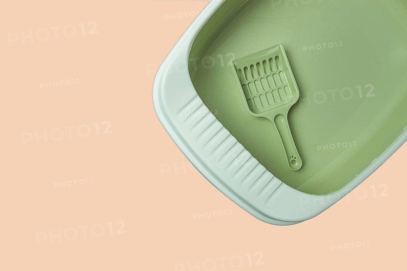 Cat toilet, cat tray, empty, clean, new. with a scoop, top view, pistachio color