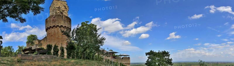 The Wachtenburg castle near Wachenheim close to Bad Dürkheim