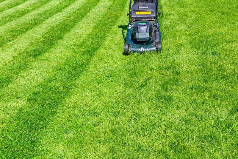 Hayter cordless electric lawnmower cutting lawn grass into stripes, UK